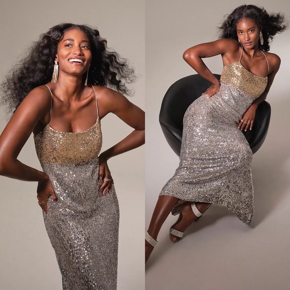 NWT Anthropologie Sachin & Babi Colorblocked Sequined Midi Dress - Picture 3 of 16